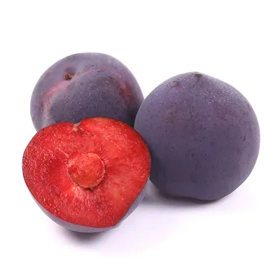 Apriums Apricot Plums