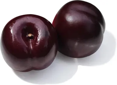 Plums Black Plumcot #3611