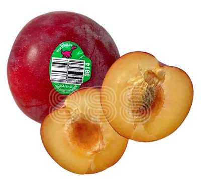 Red Velvet Apricots