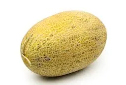Melon Hami