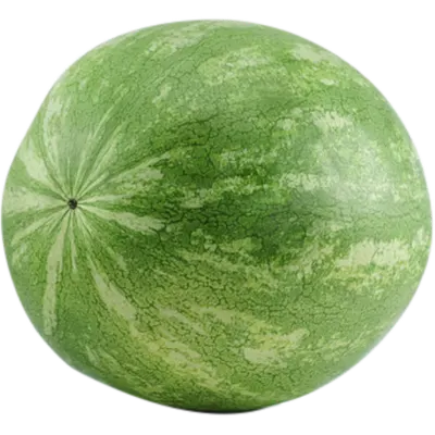 Whole Large Watermelon