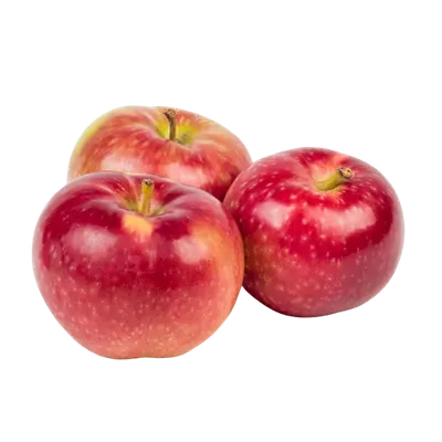 Apple Cortland Large