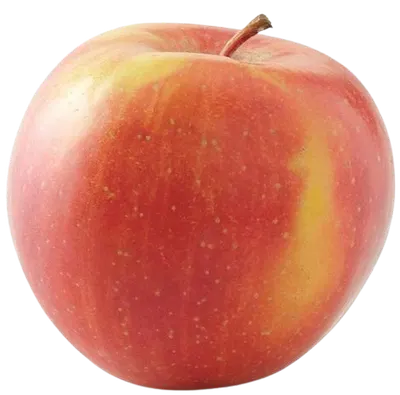 Fuji Apples
