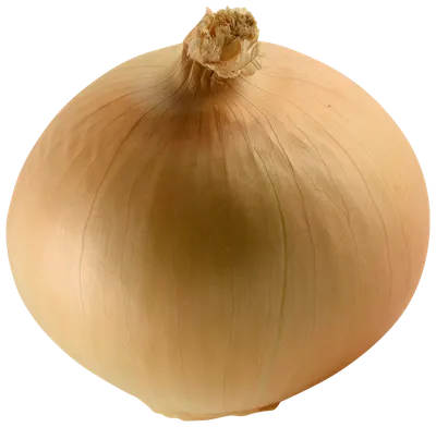 Onion Sweet Vidalia