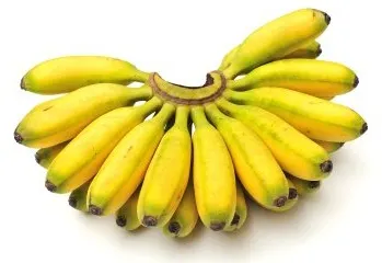 Baby Banana Bunch