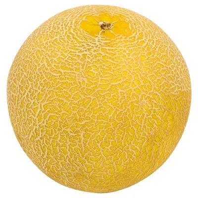 Peacock Organic Galia Melon