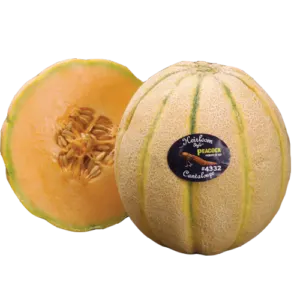 Heirloom Cantaloupe Melon