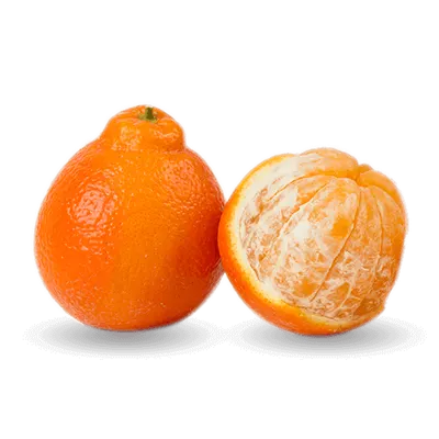 Tangelo Minneola