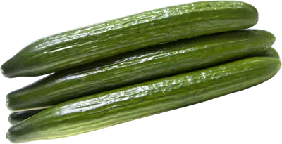 Long English Hot House Cucs