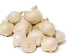 Small White Boiler Onion