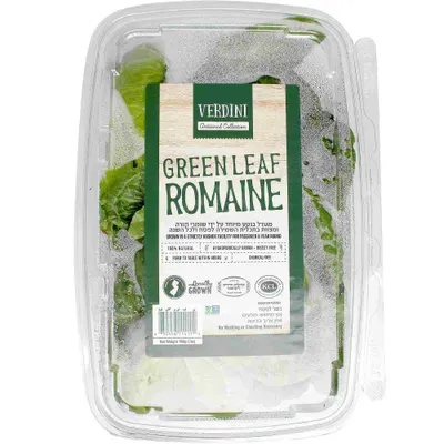 Green Leaf Romaine