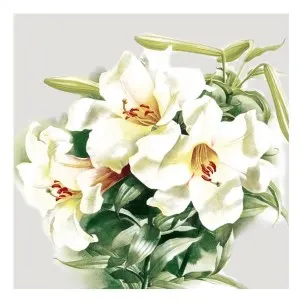 Flower Lunch Napkins