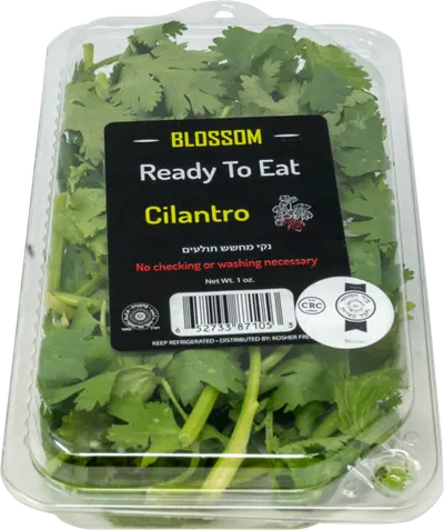 Ready To Eat Cilantro Checked