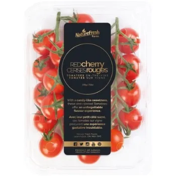 Cherry Tomatoes on the Vine