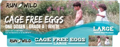 Cage Free Large White Eggs 12 ct