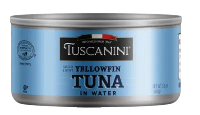 Yellowfin Tuna in Water
