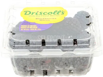 Blackberries