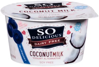 Blueberry Coconut Milk Yogurt