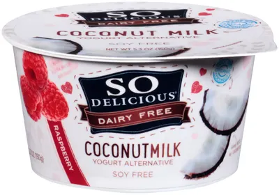 Raspberry Coconut Milk Yogurt Alternative