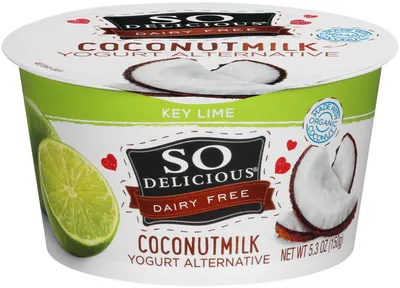 Yogurt Coconut Milk Key Lime