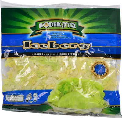 Iceberg