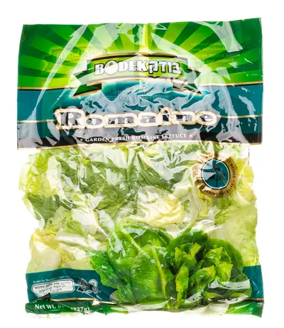 Romaine Lettuce