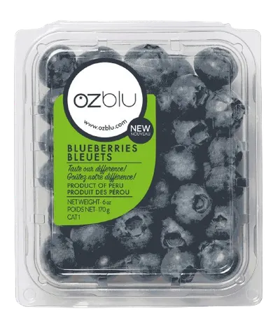 Fresh Blueberries