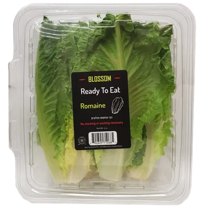 Ready To Eat Romaine