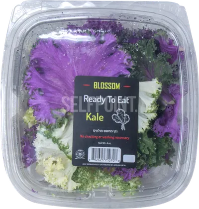 Ready To Eat Kale