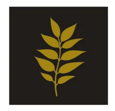 Napkins Gold Leaf (Black) 20 ct