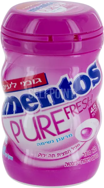 Sugar Free Fruit Mint Gum