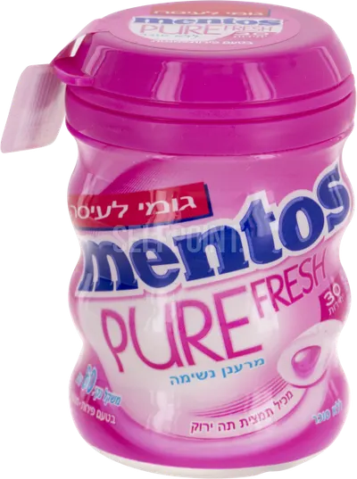 Fruit Mint Sugar Free Gum