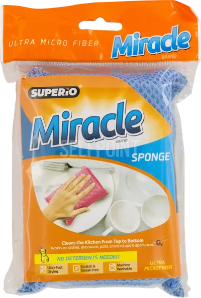 Sponge