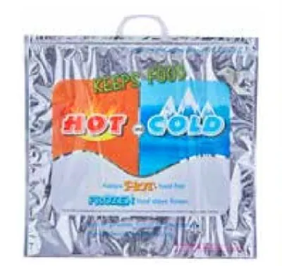 Reusable Hot and Cold Thermal Bag