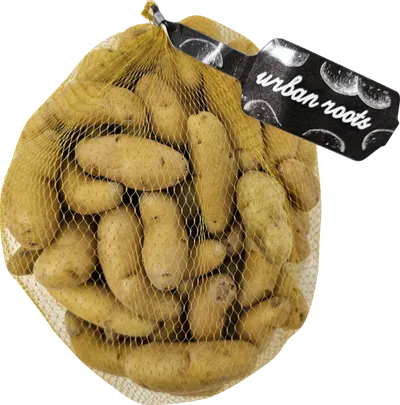 Yellow Fingerling Potatoes