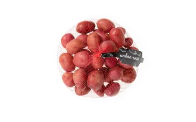 Potato Pee Wee Red
