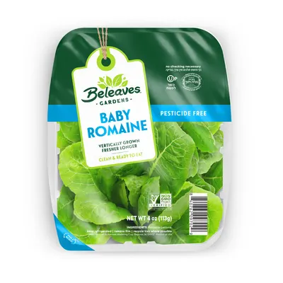 Pesticide Free Baby Romaine