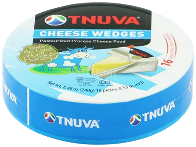 Pasteurized Process Cheese Wedges 16 ct