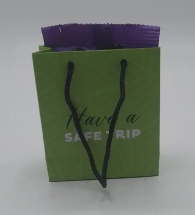 Mini Gift Bag Have A Safe Trip