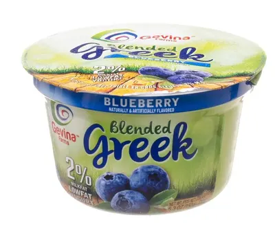 Greek Blueberry Yogurt