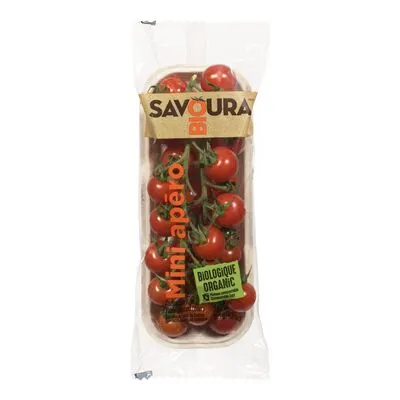 Organic Cherry Tomatoes on the Vine