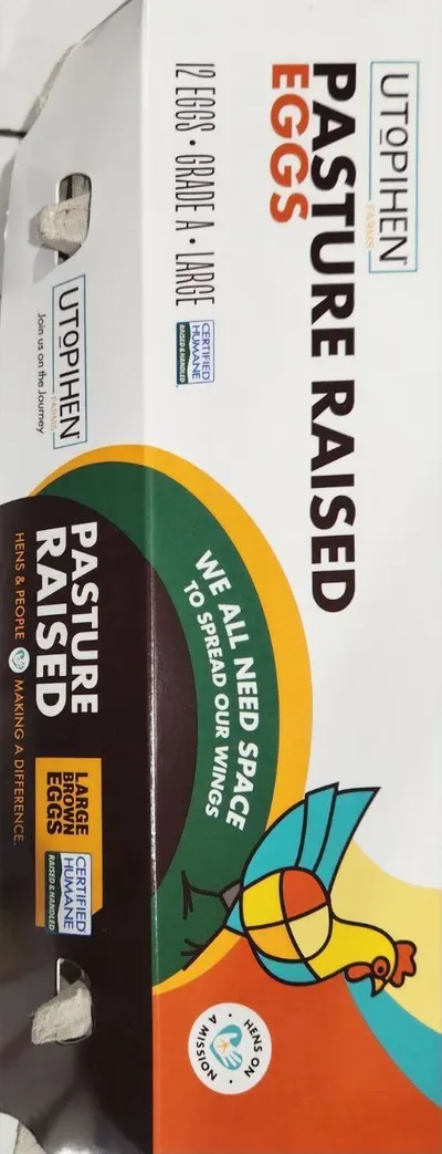 Pasture Raised Large Eggs 12 ct