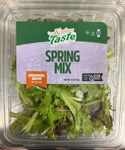 Kosher Taste Spring Mix