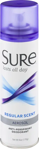 Regular Scent Aerosol Anti Perspirant Deodorant