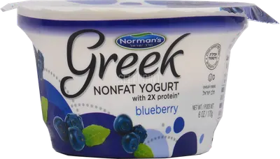Greek Non Fat Blueberry Yogurt