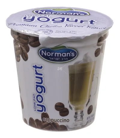 Low Fat Cappuccino Yogurt