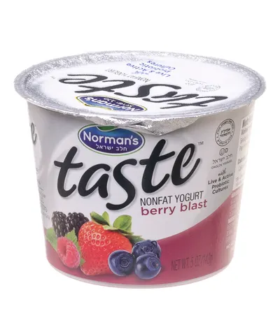 Non-Fat Berry Blast Yogurt
