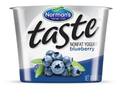 Non-Fat  Blueberry Flavored Yogurt