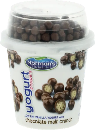 Low Fat Vanilla Yogurt with Chocolate Malt Crunch