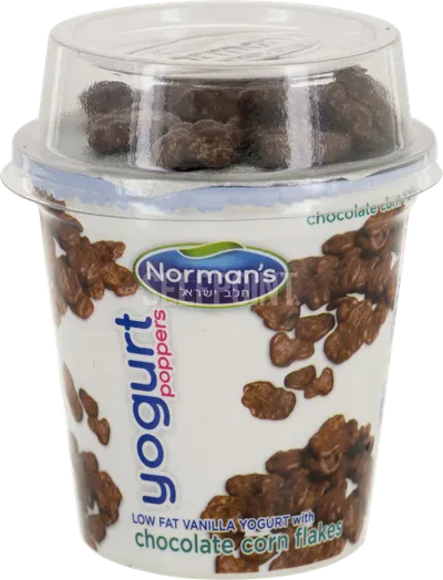 Low Fat Vanilla Yogurt with Chocolate Corn Flakes